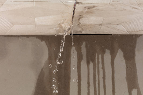 Professional Water Extraction technician working in Englewood, FL